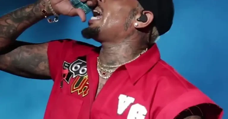 Chris Brown Dog Bite Trial Ends in Mistrial Over Juror Error