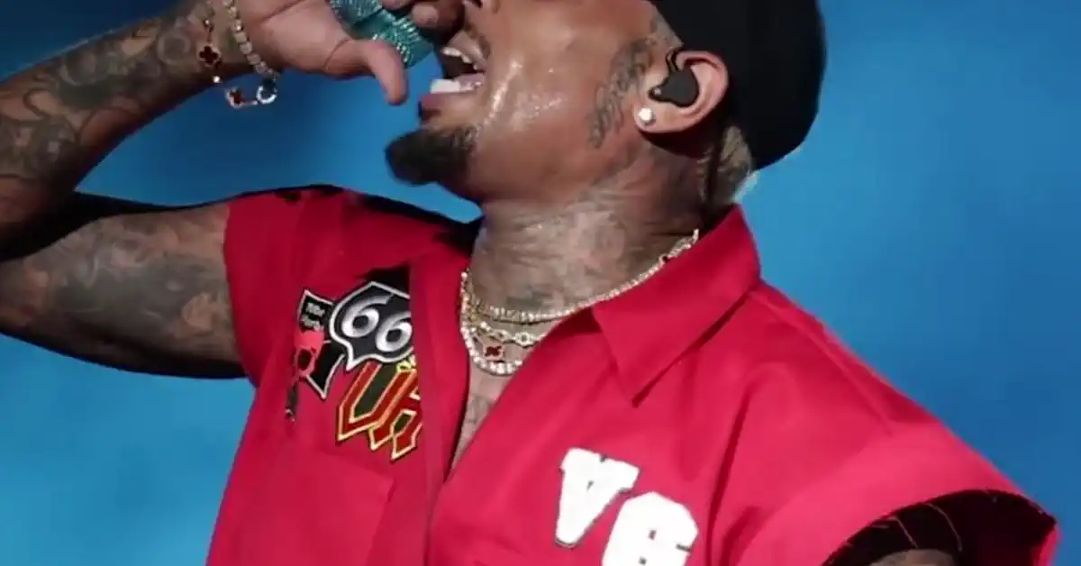 Chris Brown Dog Bite Trial Ends in Mistrial Over Juror Error